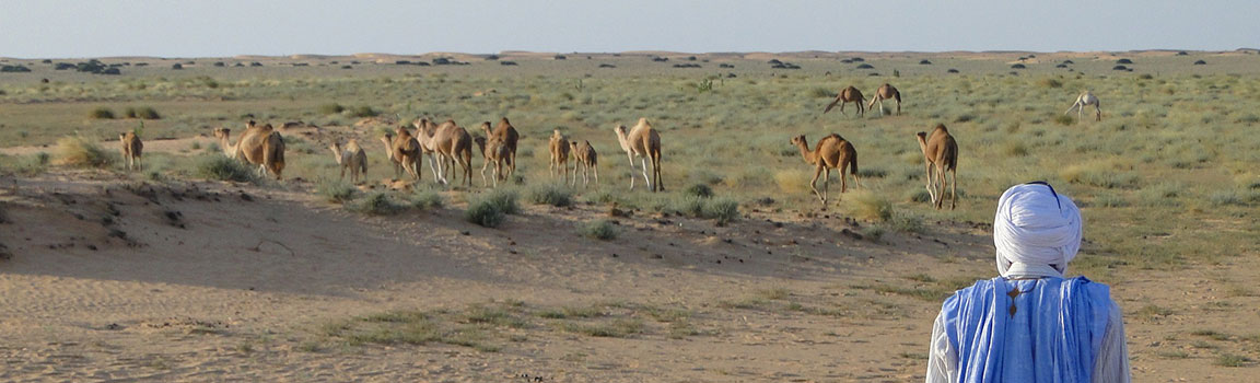 Mauritanie