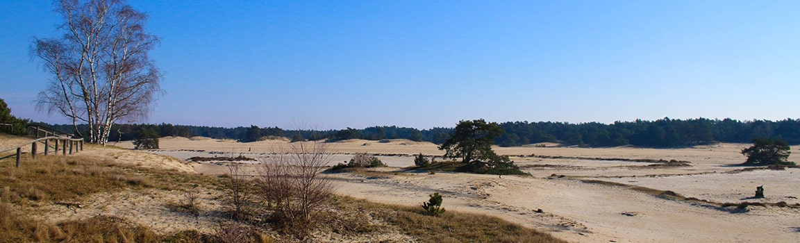 Numéro local: 0341 (+31341) - Harderwijk, Pays-Bas
