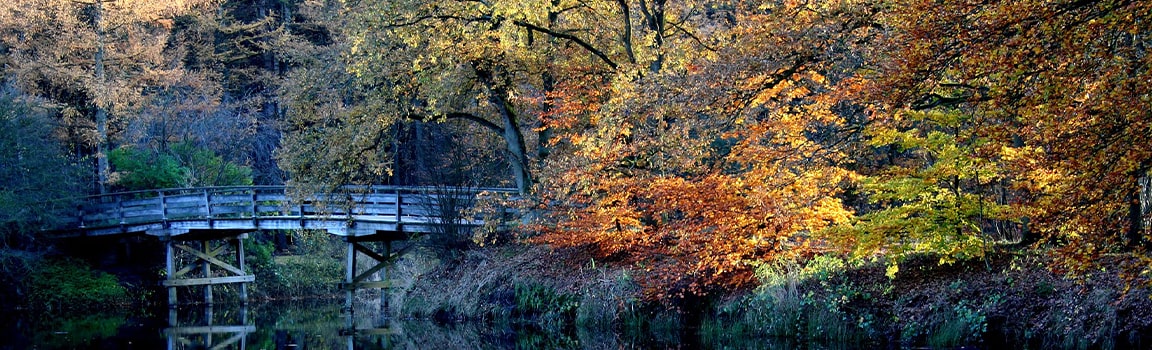 Numéro local: 035 (+3135) - Hilversum, Pays-Bas